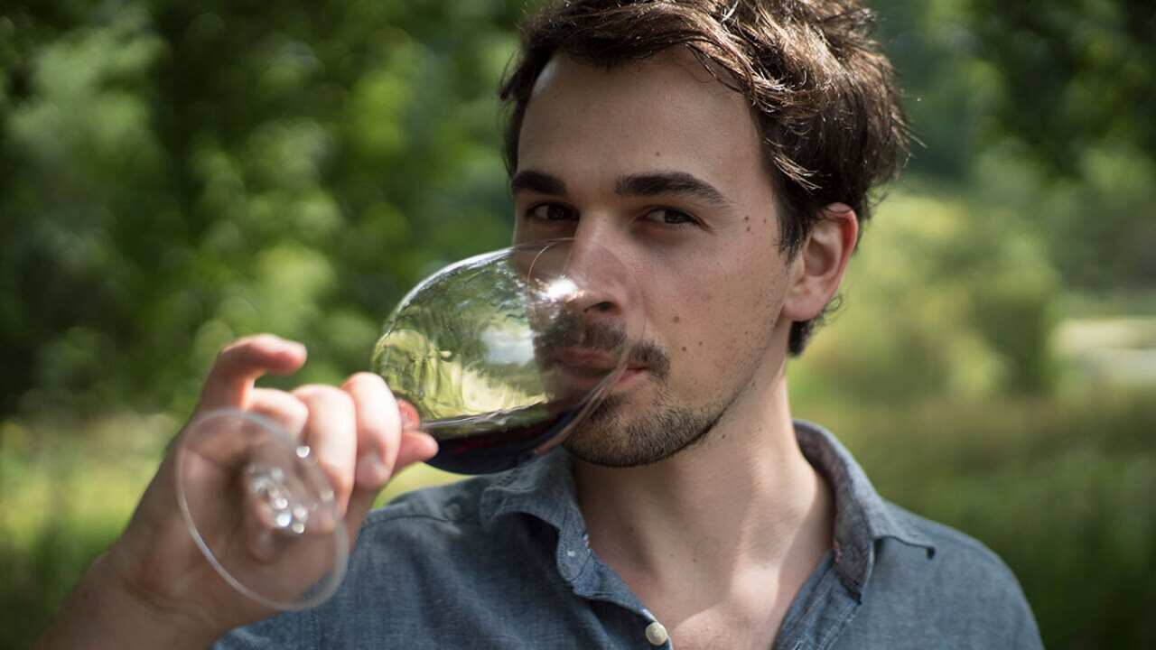 How to get red wine out of clothes SBS Food