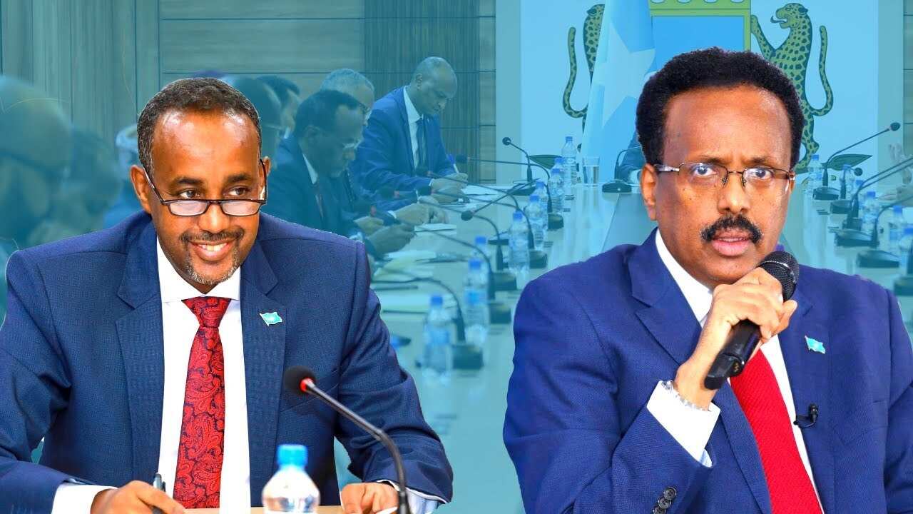 Farmajo iyo Rooble