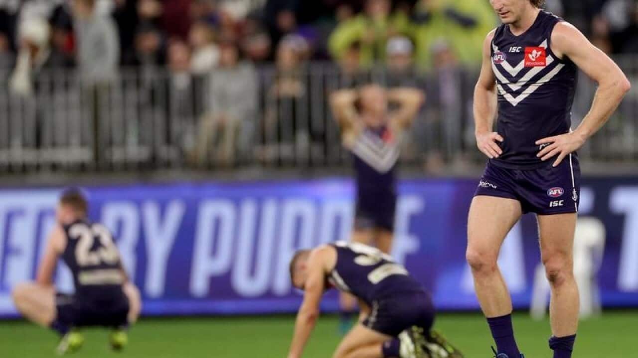 AFL DOCKERS BLUES