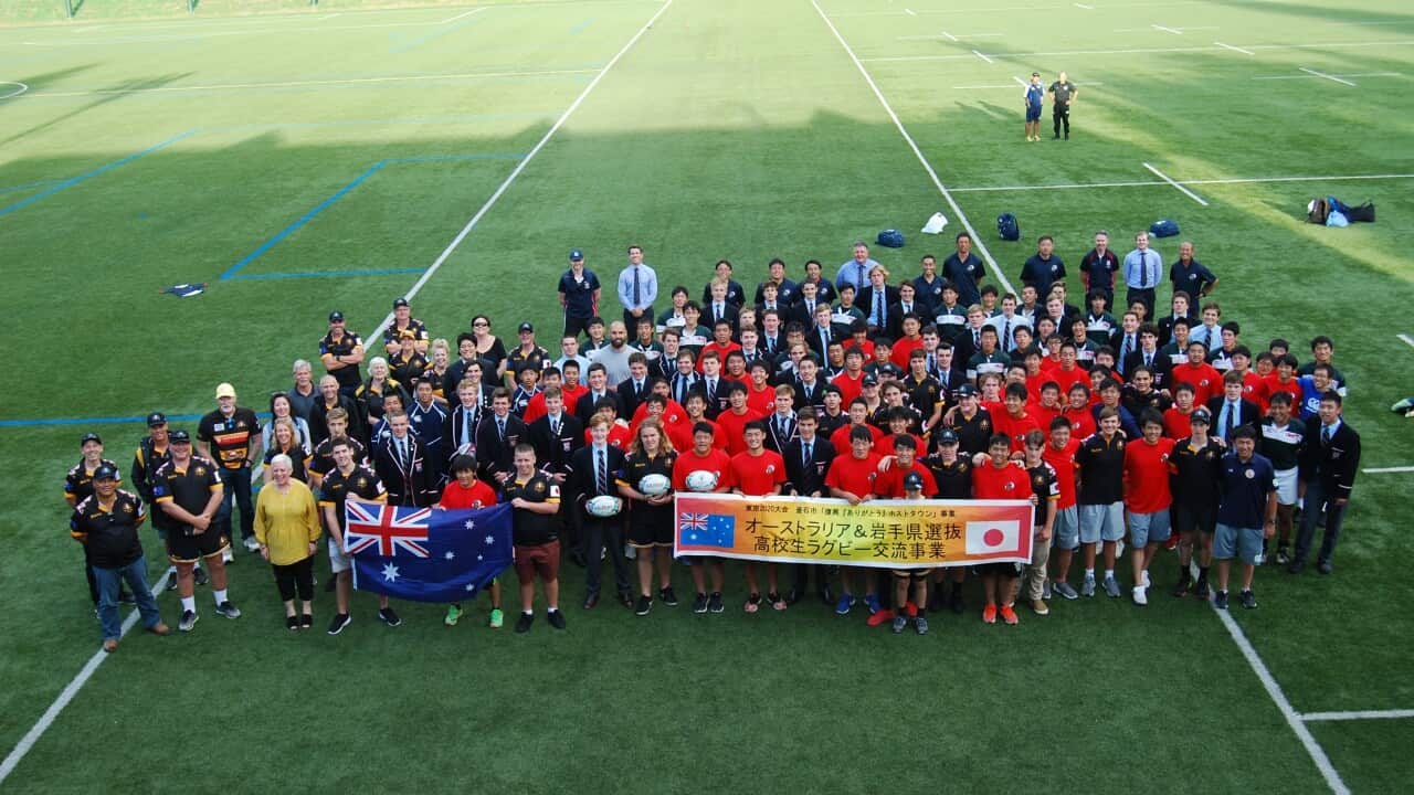 Image for read more article ''