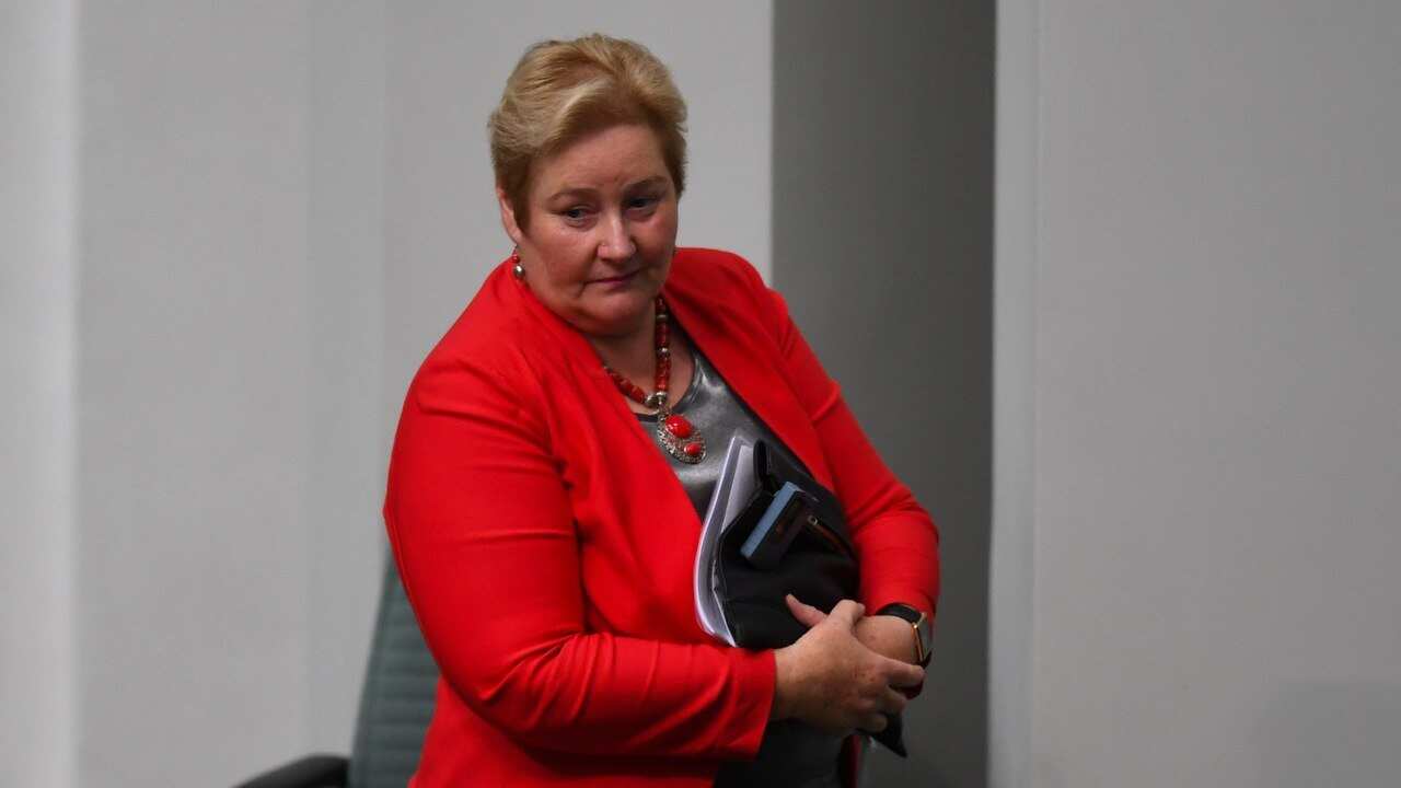 Liberal Member for Gilmore Ann Sudmalis.