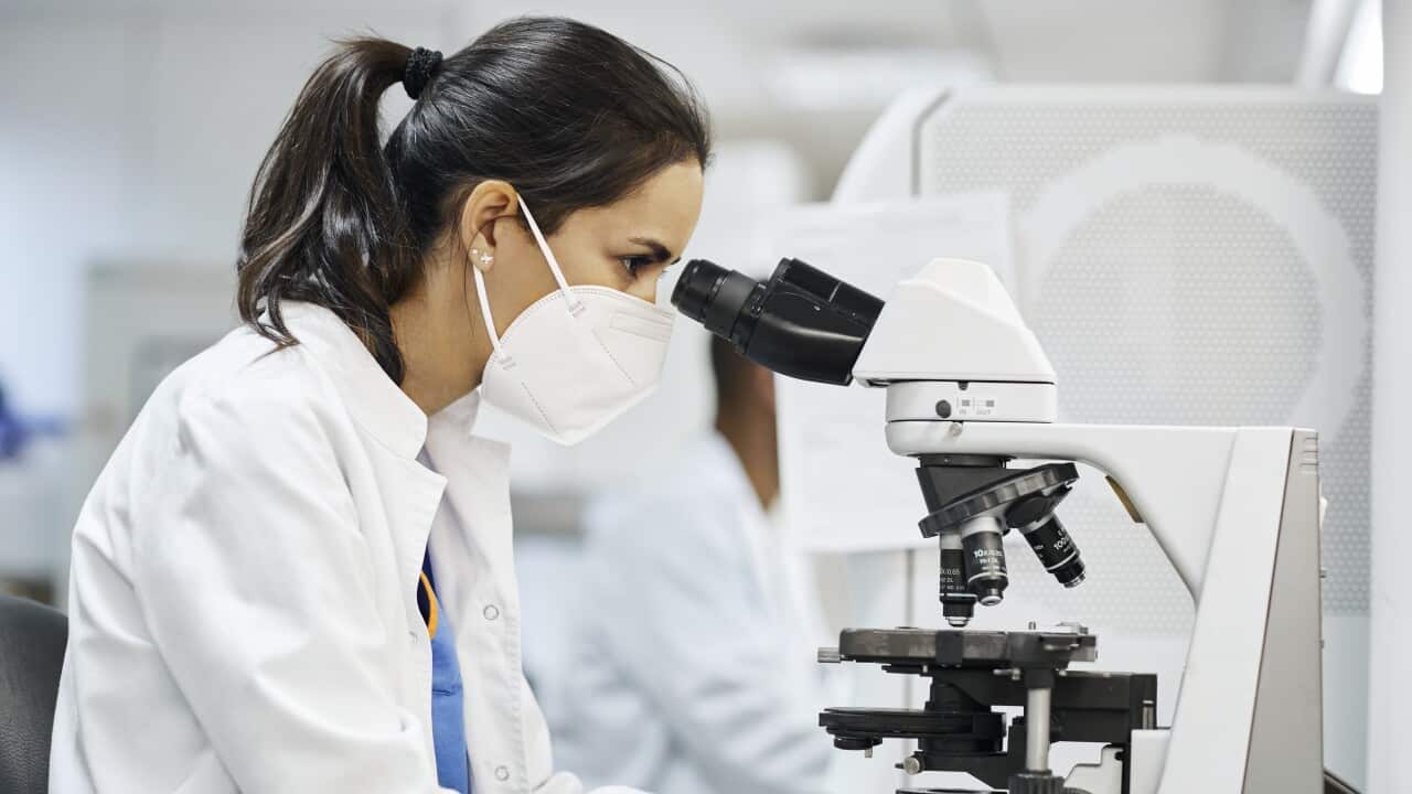 Female doctor doing research in laboratory