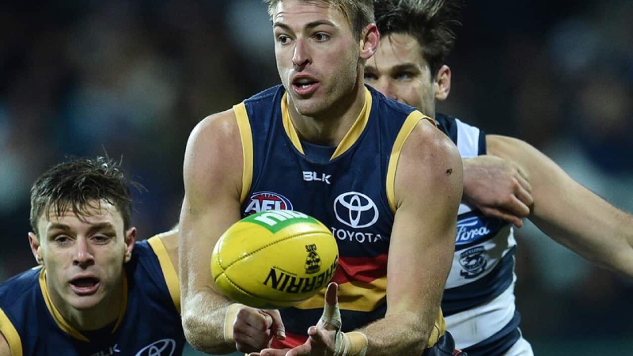 Daniel Talia of the Crows