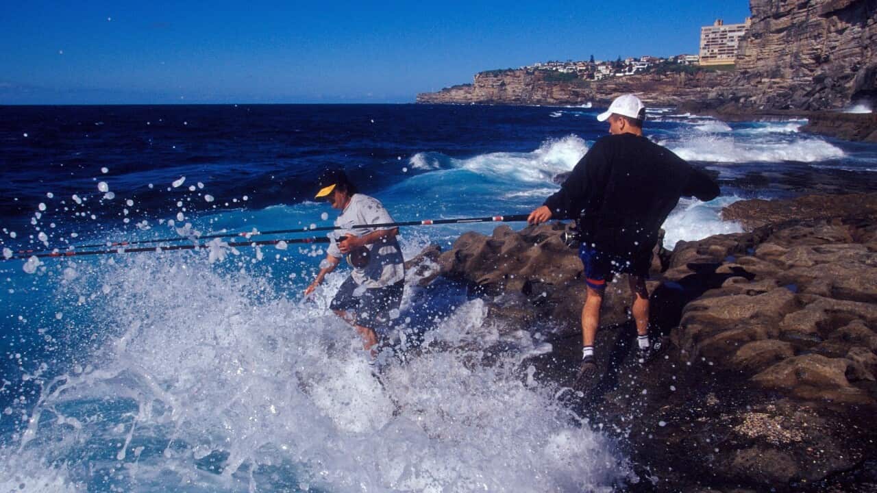 ROCK FISHING SYDNEY