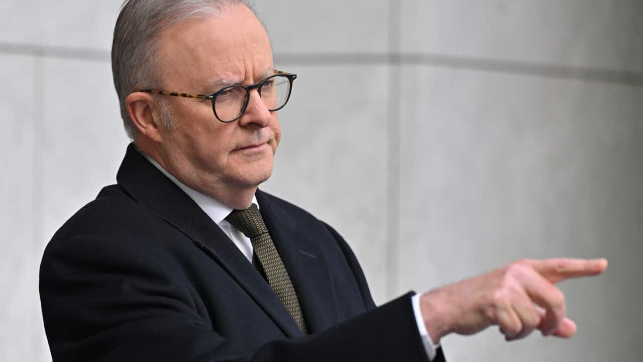 ANTHONY ALBANESE PRESSER