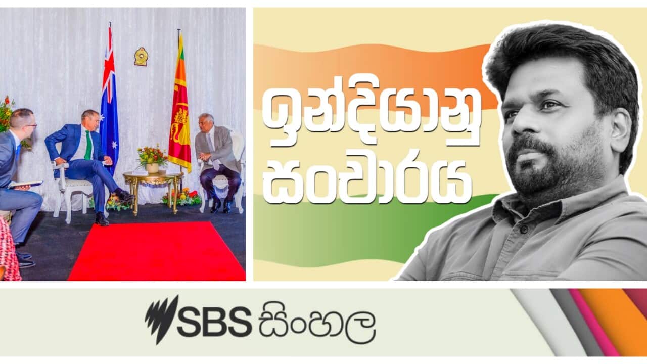 Anura's visit to India, Ranil's visit to Australia, and Sri Lankan politics