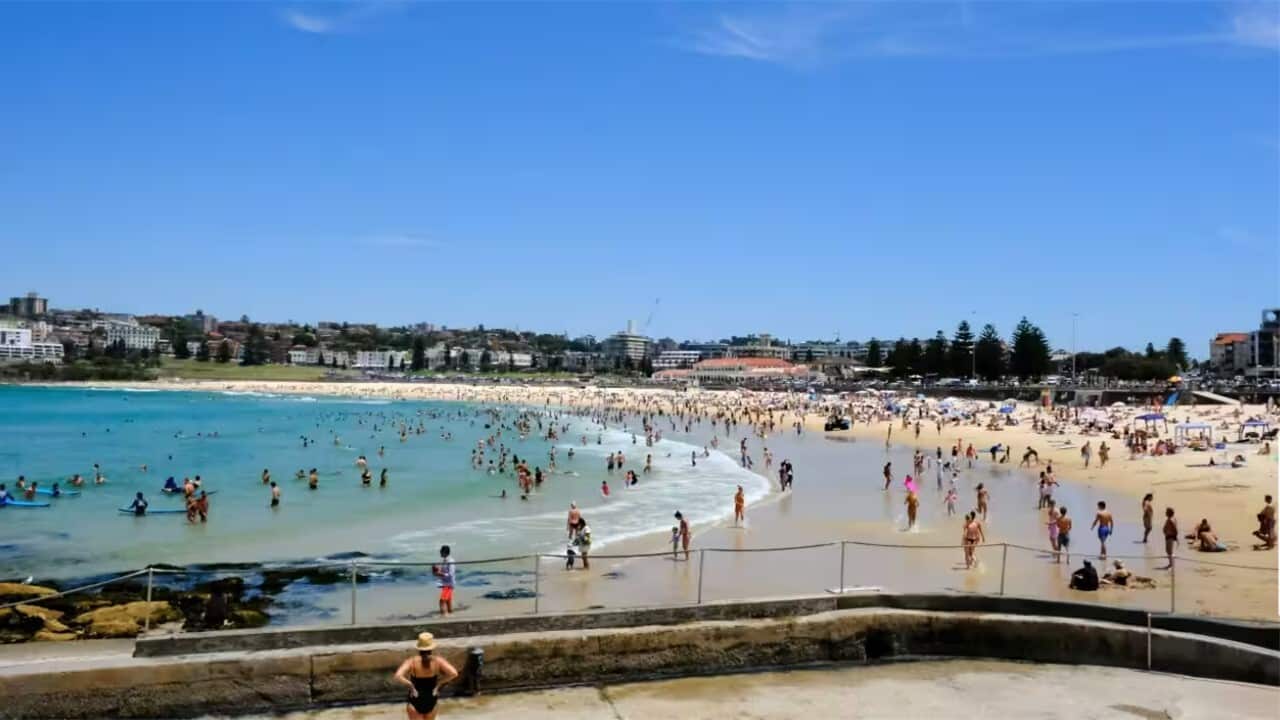 Beachgoers cool off at Sydney's Bondi Beach in January.jpg