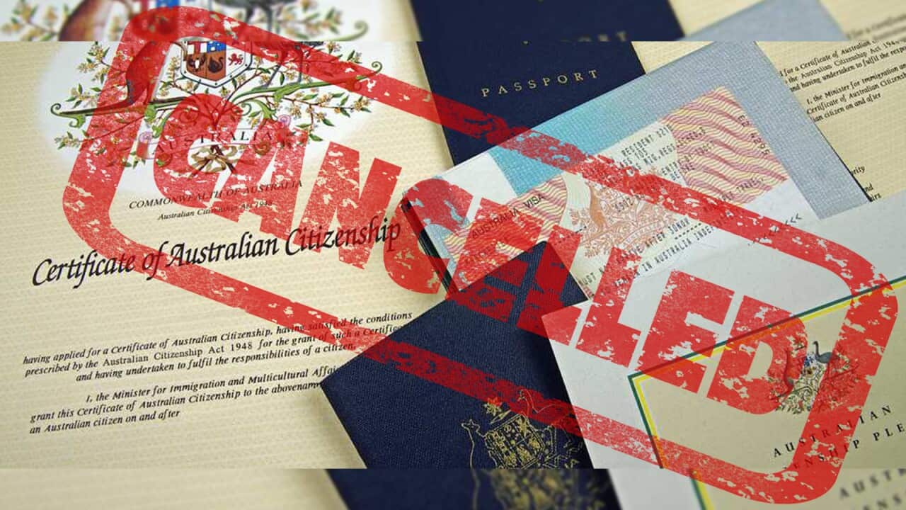 Acitizenship Cancel.jpg