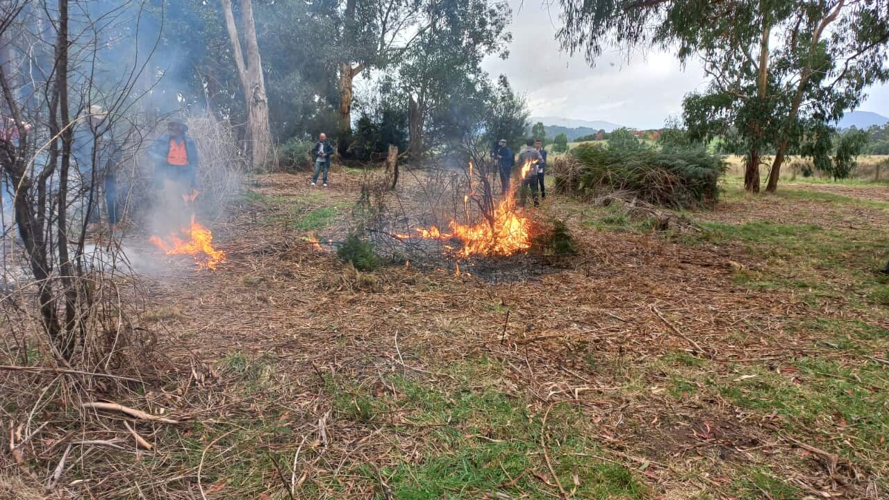 Cultural burning