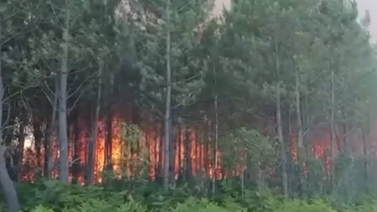 Image for read more article 'ΔΕΙΤΕ ΑΚΟΜΗ'