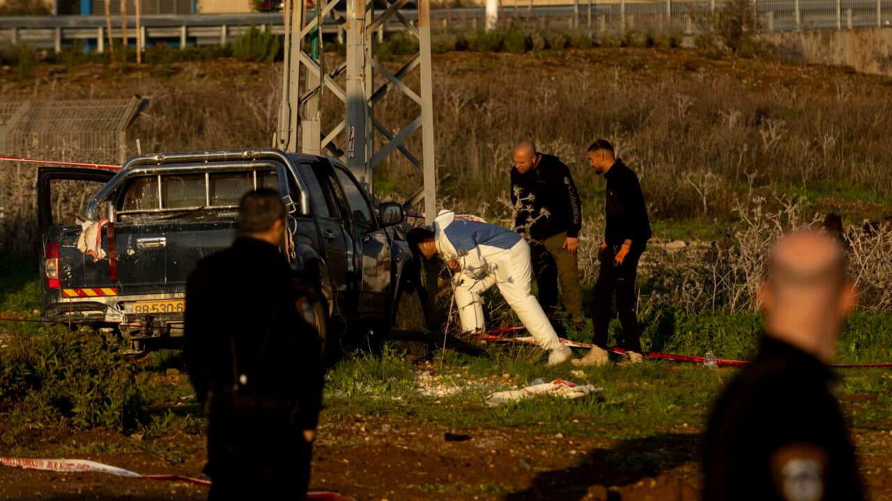 Investigators look inside a ute that has crashed into a pole