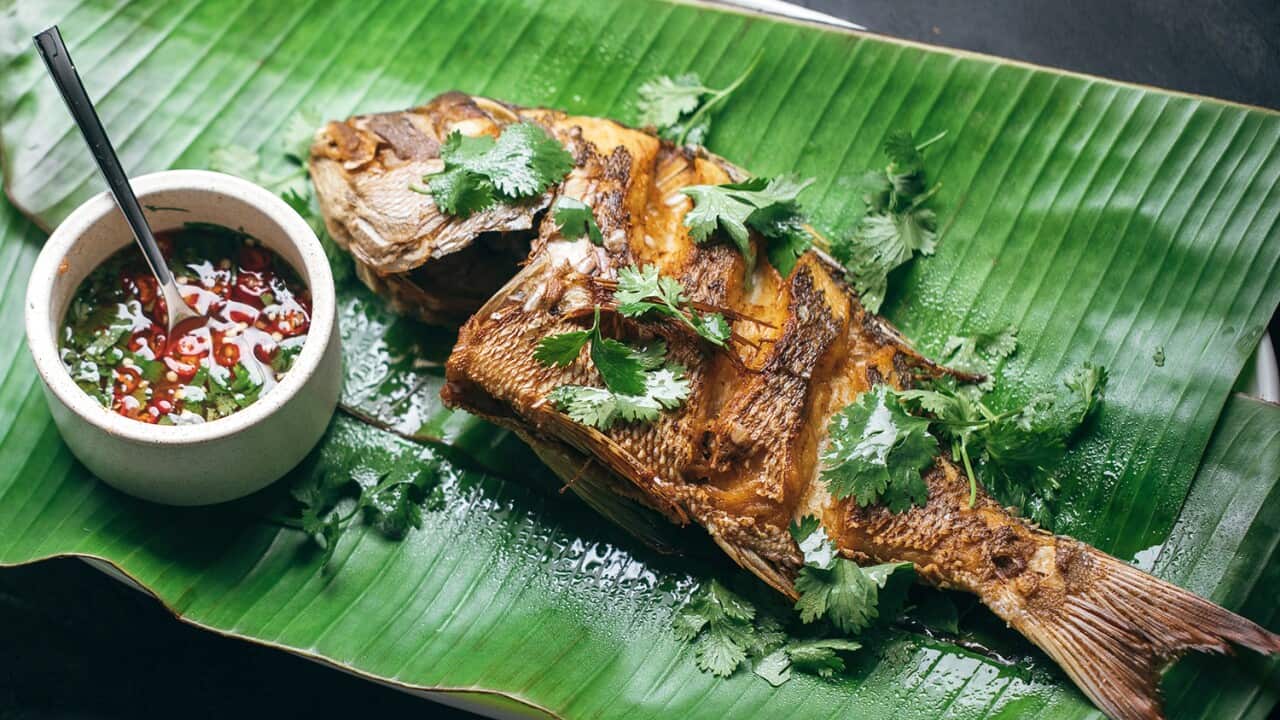 Image for read more article ''