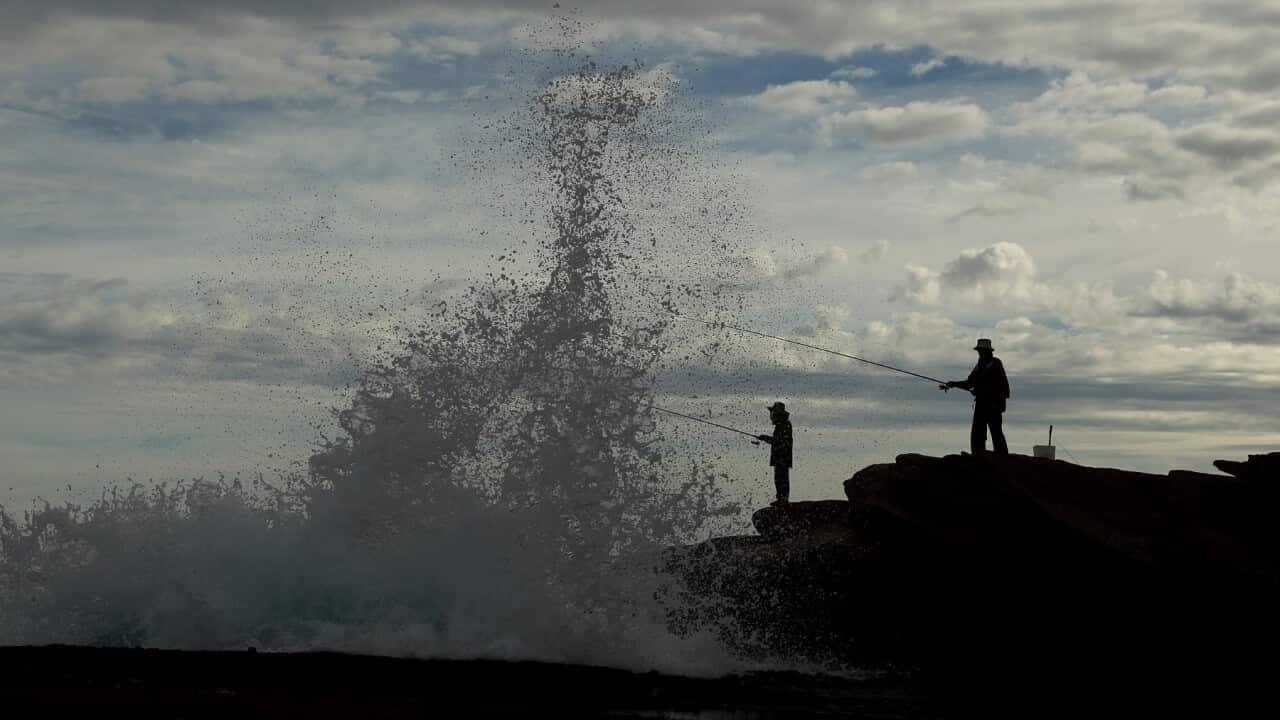 Image for read more article 'READ MORE'