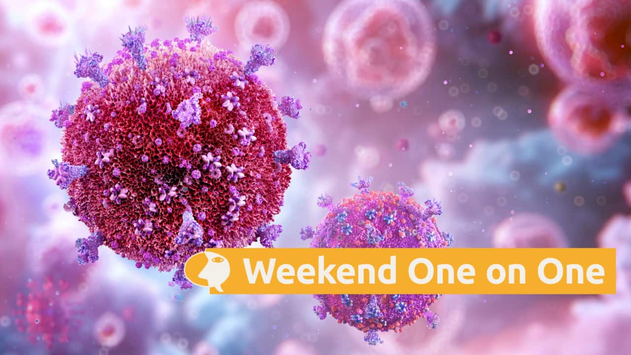 The HIV Virus