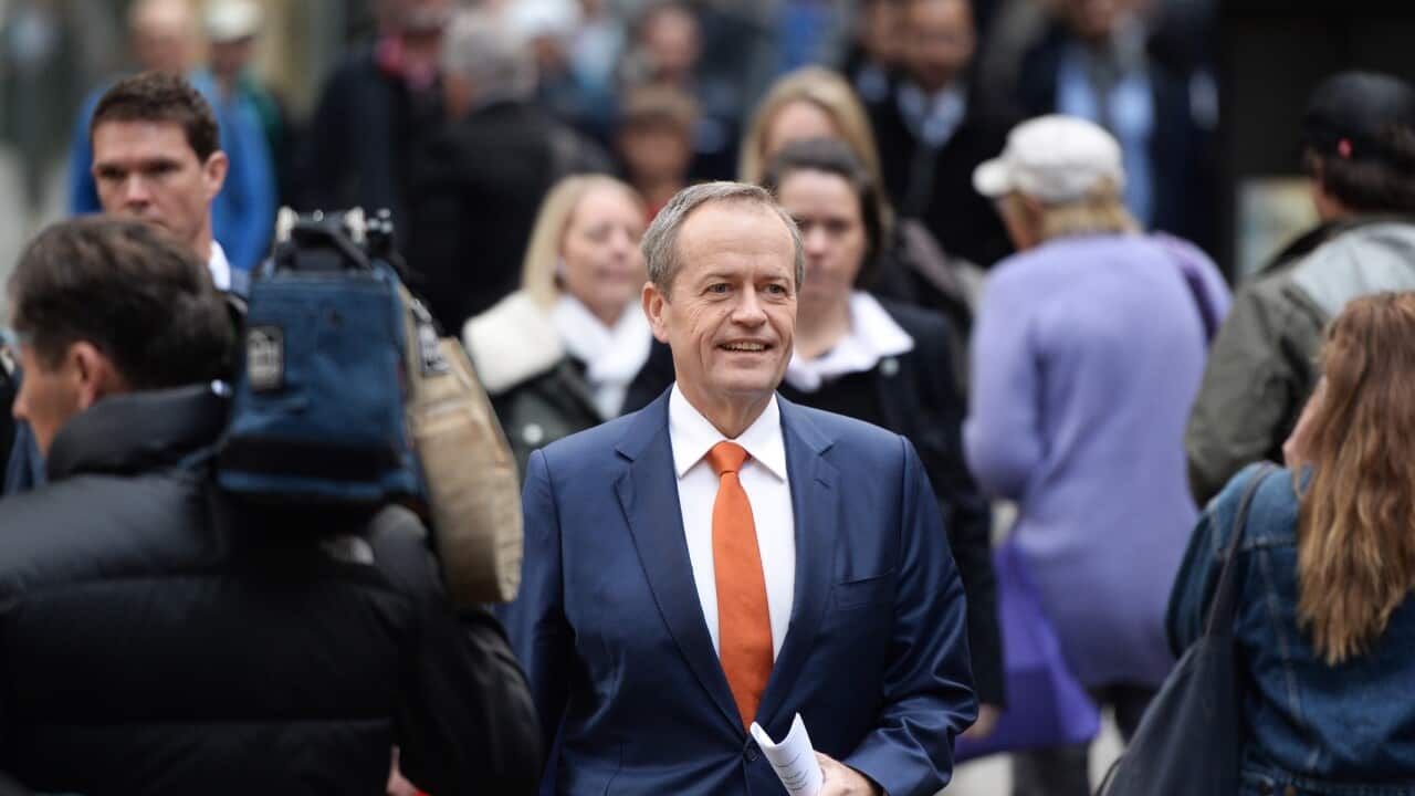 Leader of the Opposition Bill Shorten 