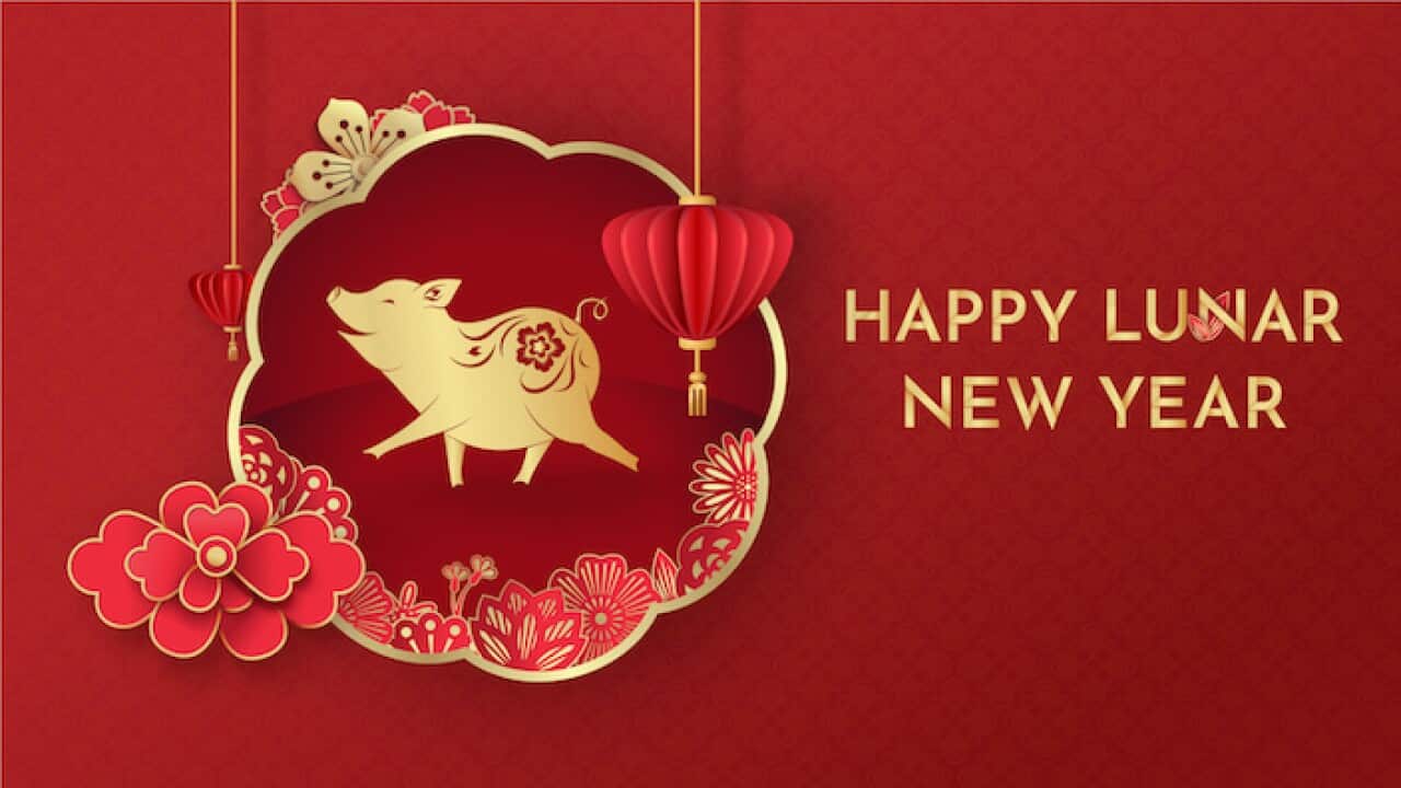 Happy Lunar New Year