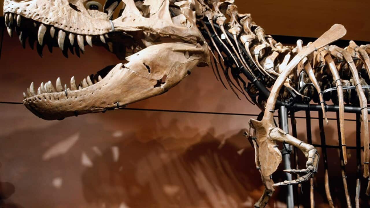 dinosaur_120405_b_getty_553803950