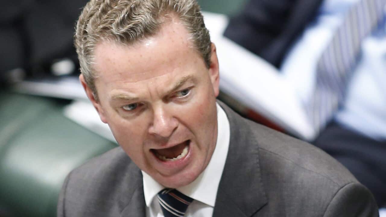Cabinet minister Christopher Pyne