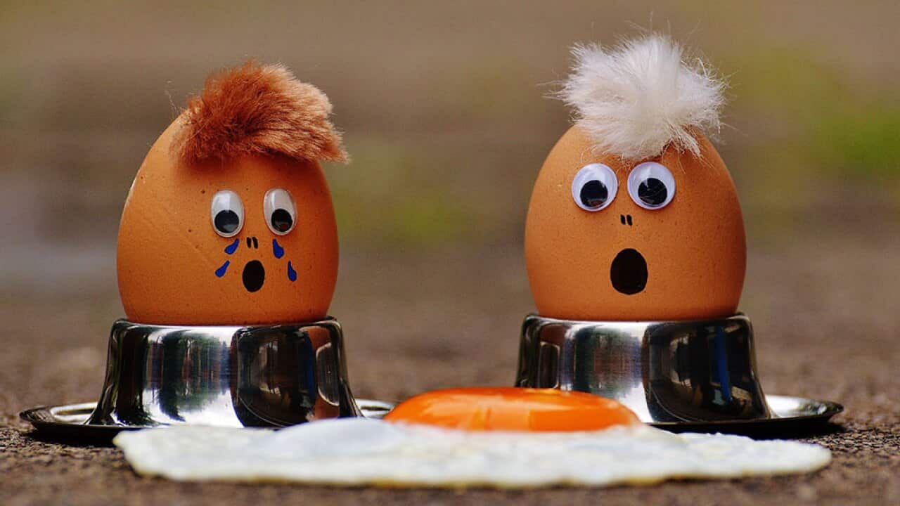 Shocked boiled eggs