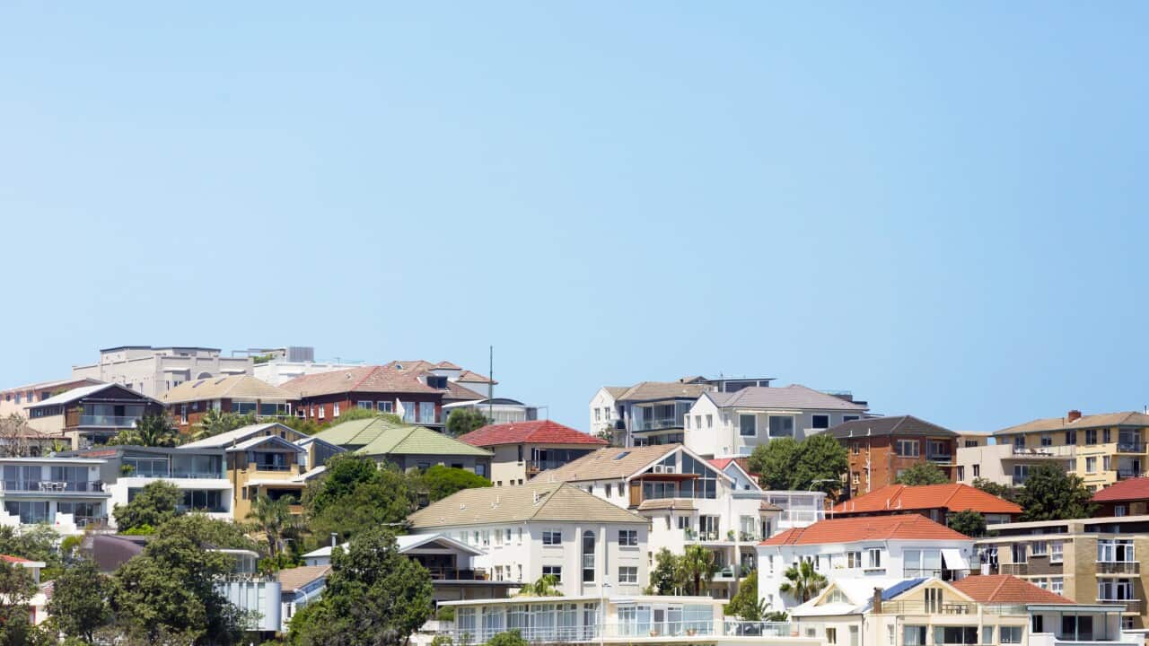 Image for read more article 'Δείτε ακόμη'