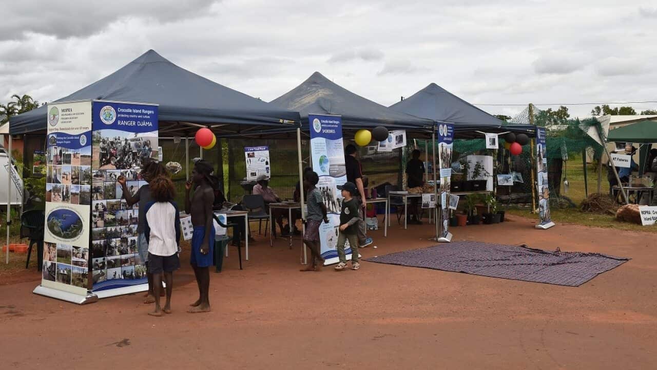 The government's Community Development Program has been described by Labor as "discriminatory, punitive and ineffective".