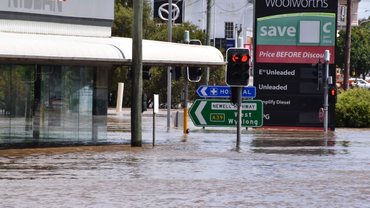 Image for read more article '其他內容'