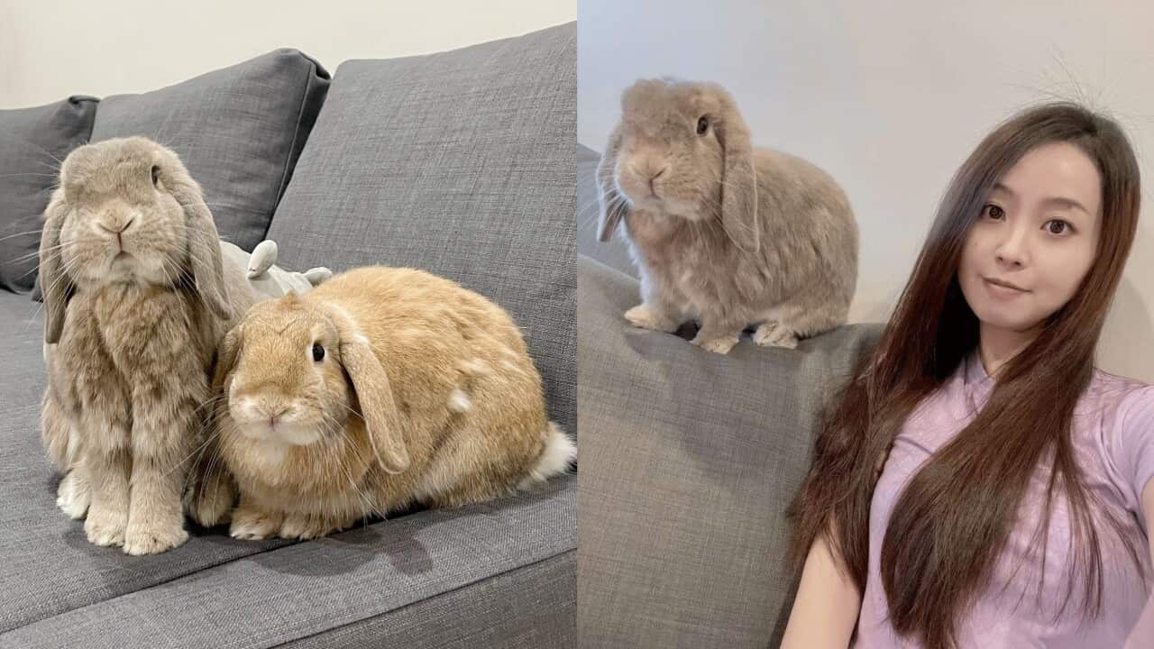 Image for read more article ''