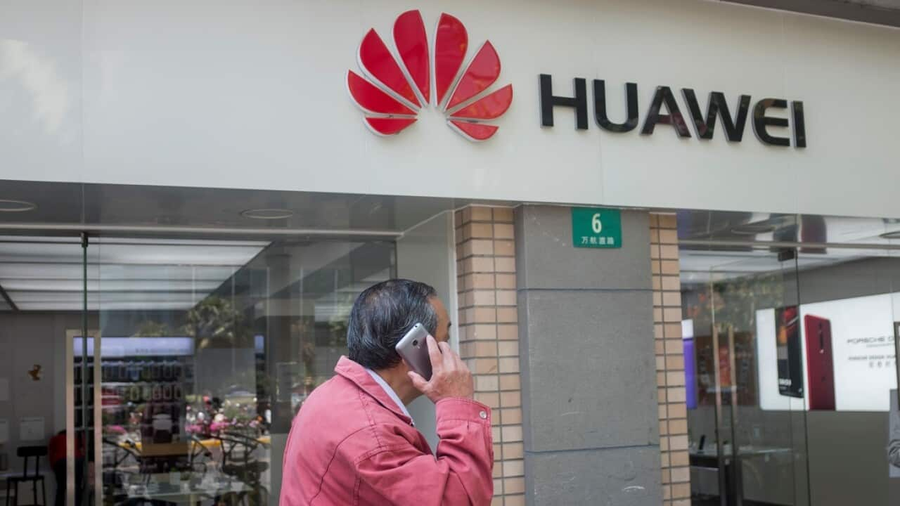 Research reveals Huawei has sponsored Australians politicians' overseas travel.