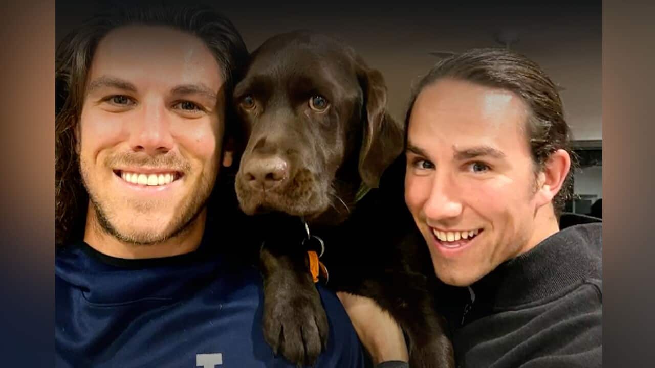 Image for read more article ''