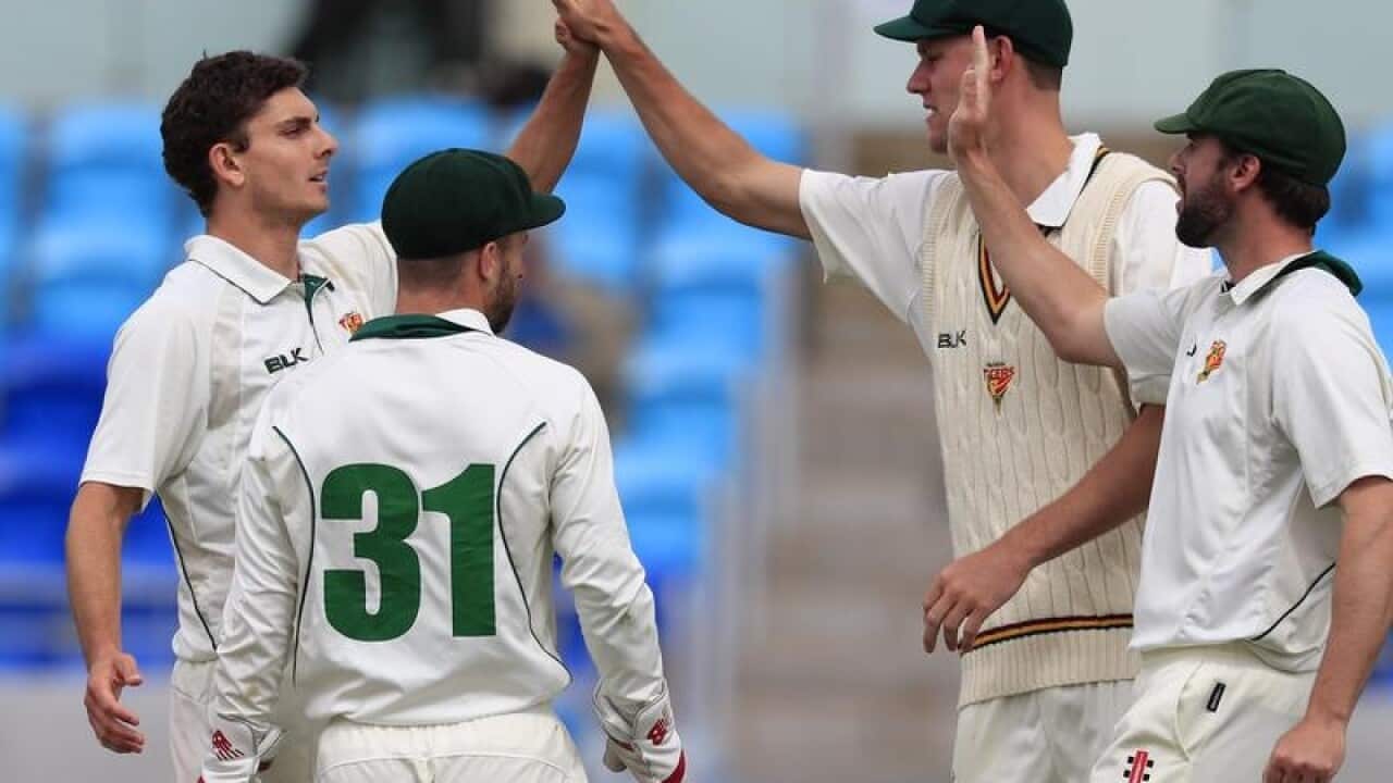 Simon Milenko of the Tigers