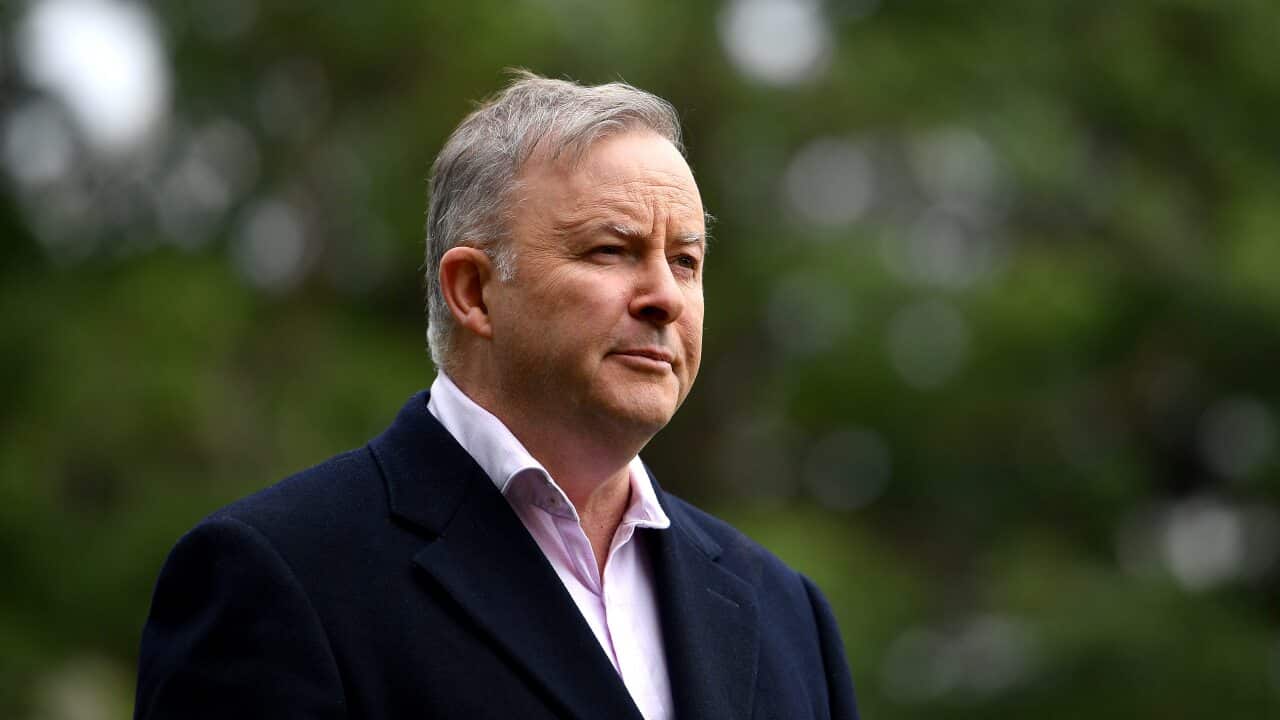 Opposition leader Anthony Albanese lashed the government over the mistake.