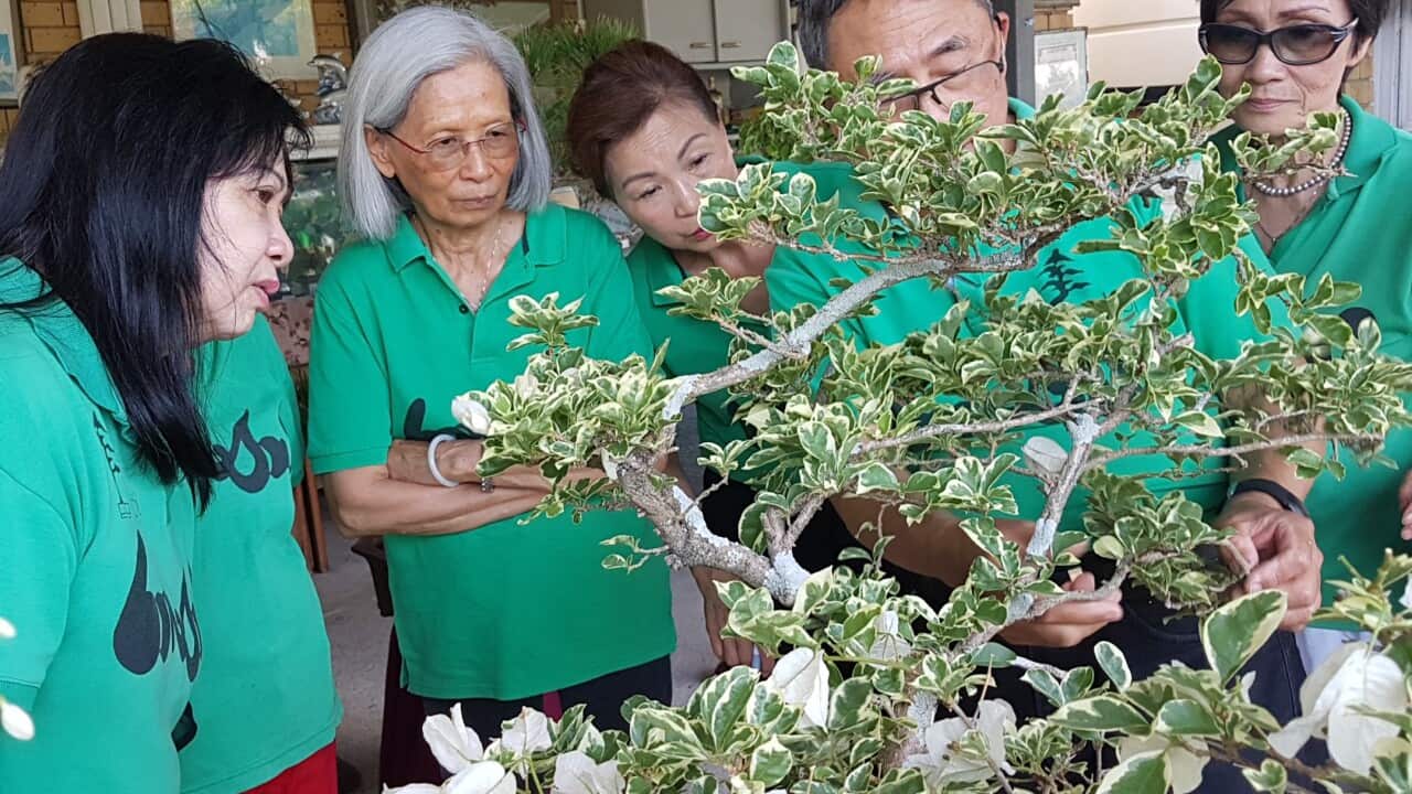 Image for read more article ''