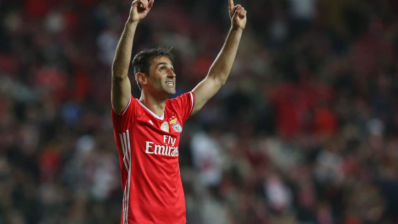 Image for read more article ''