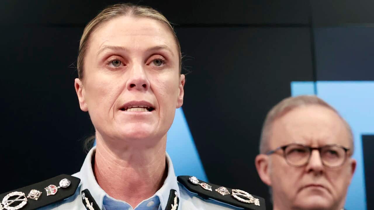 AFP BONDI TERROR INVESTIGATION
