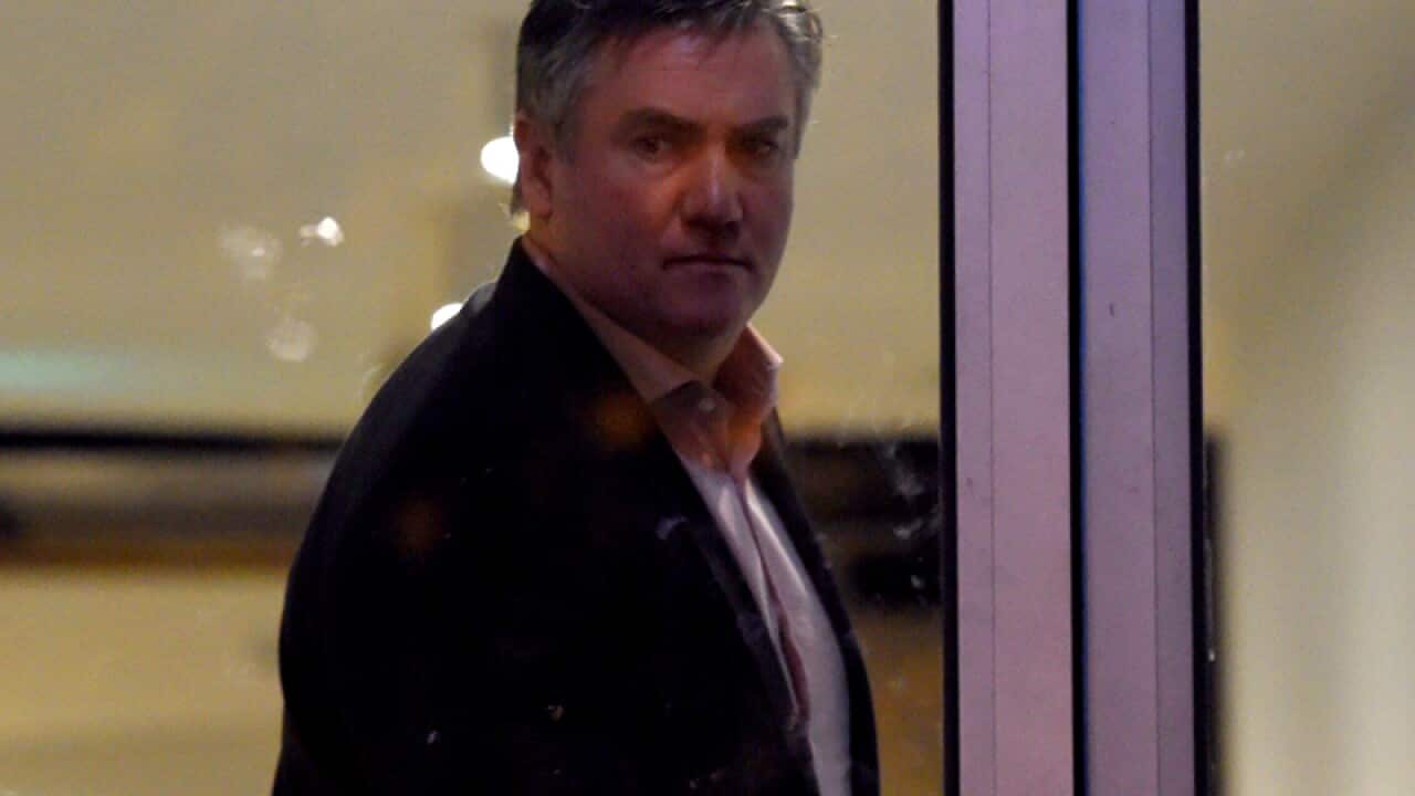 Collingwood president Eddie McGuire