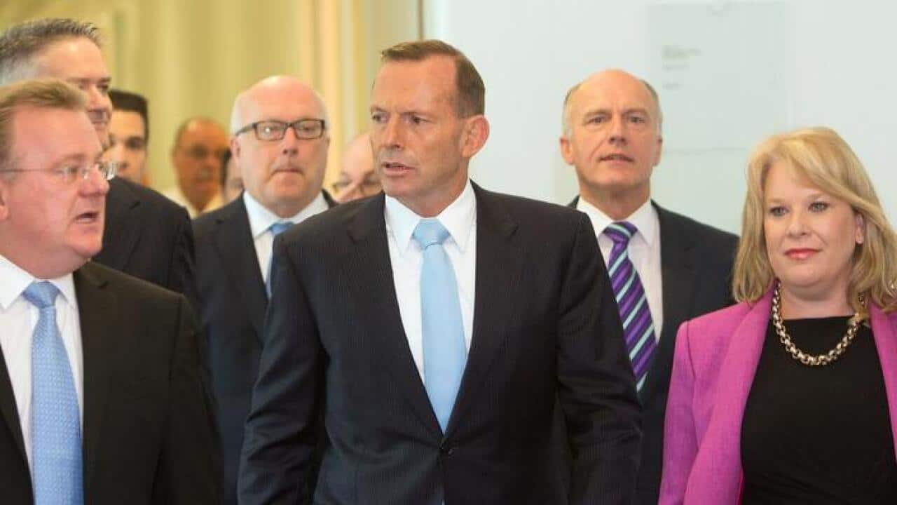 Image for read more article 'RELATED STORIES'