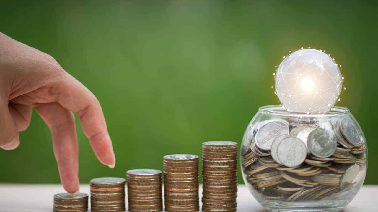 plant growing on coins and light bulb. concept saving money
