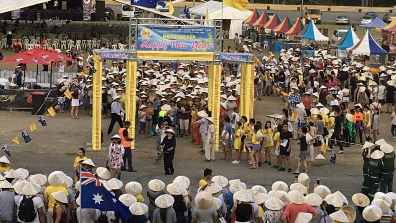 Tet Festival 2017, Fairfield