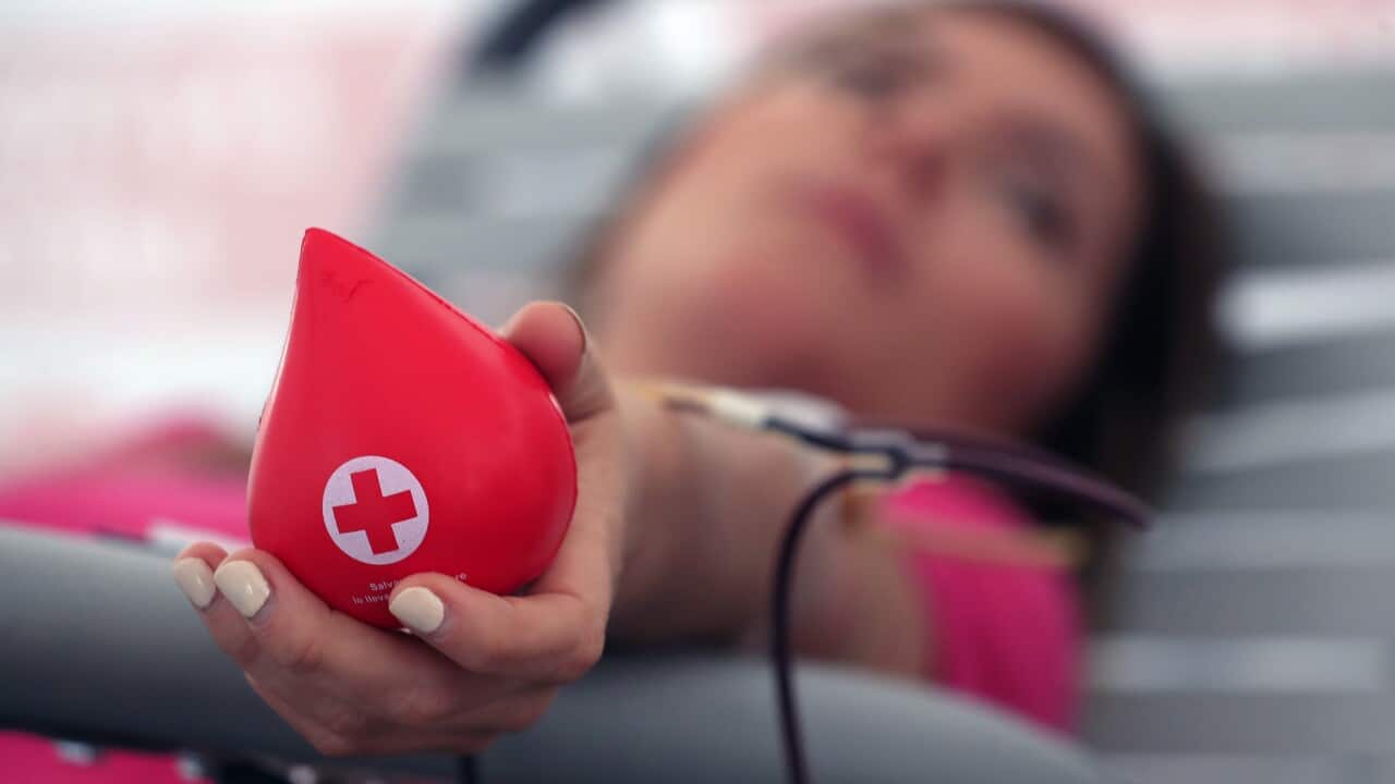 Image for read more article ''