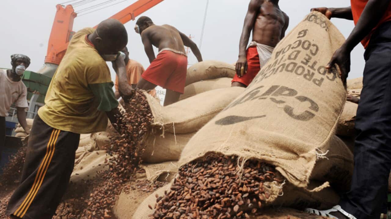 Ivory-Coast_Cocoa_080311_B_Getty_2082492199