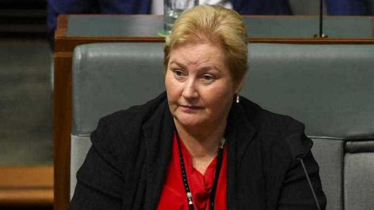 Liberal Member for Gilmore Ann Sudmalis