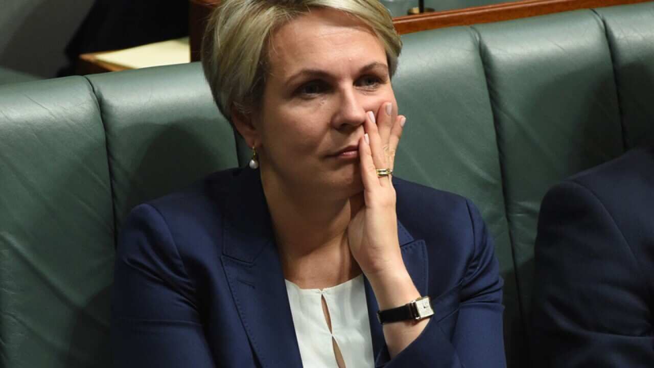 Deputy Leader of the Opposition Tanya Plibersek