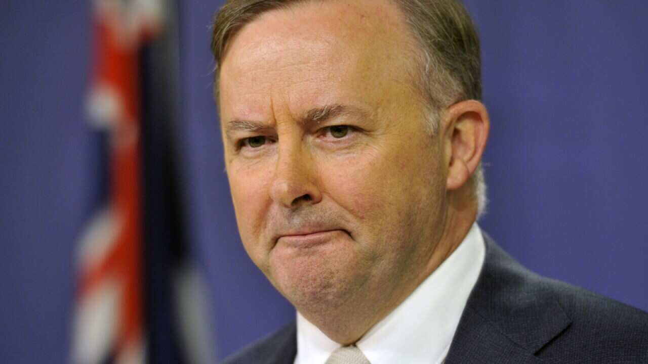 Anthony Albanese