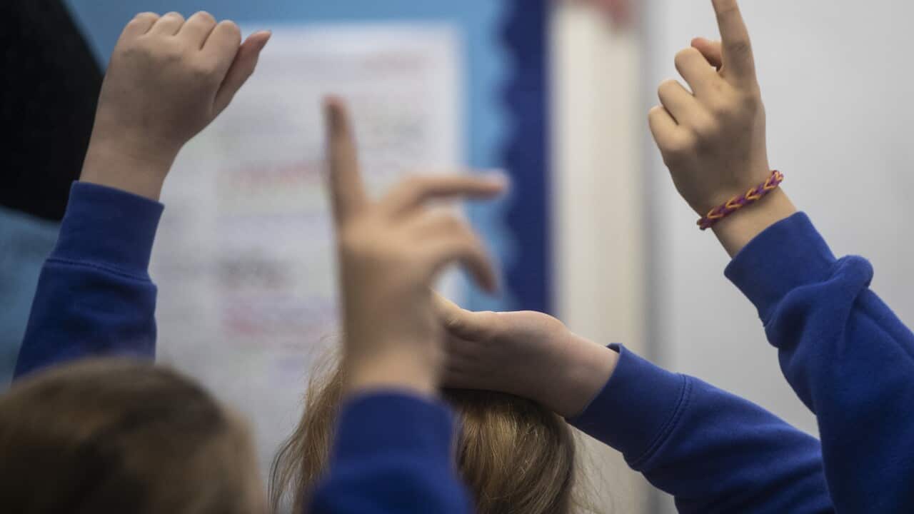 School children putting their hands up in class.