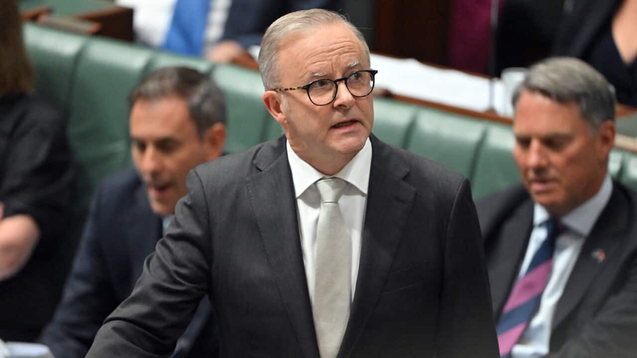 Anthony Albanese speaks during question time