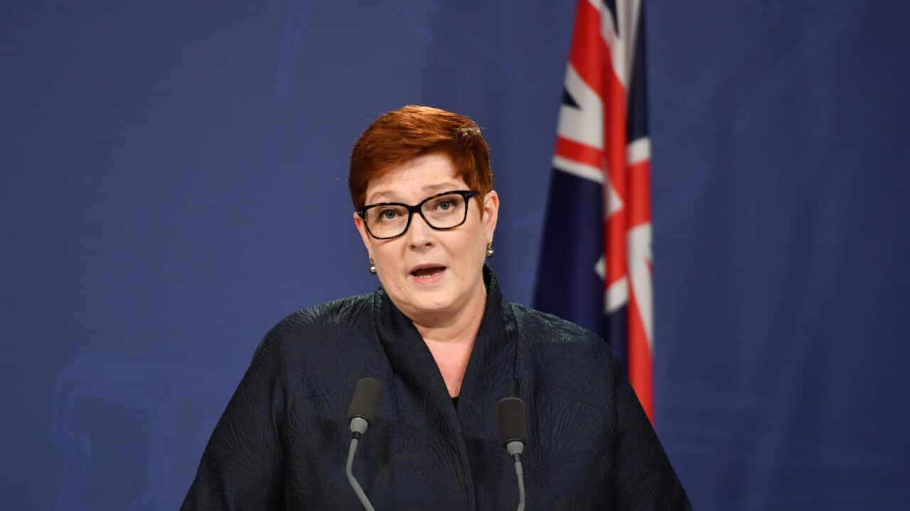 File:Marise Payne 2019 (cropped).jpg - Wikimedia Commons