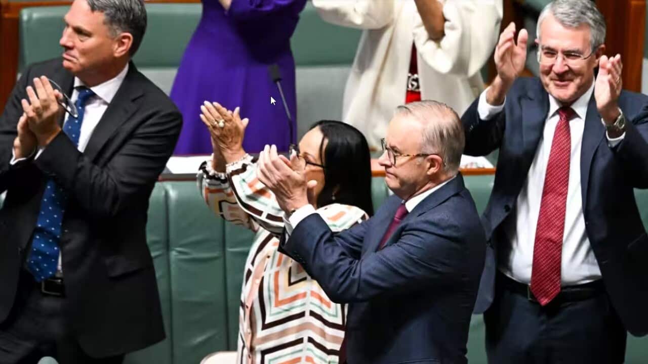 voice to parliament.jpg