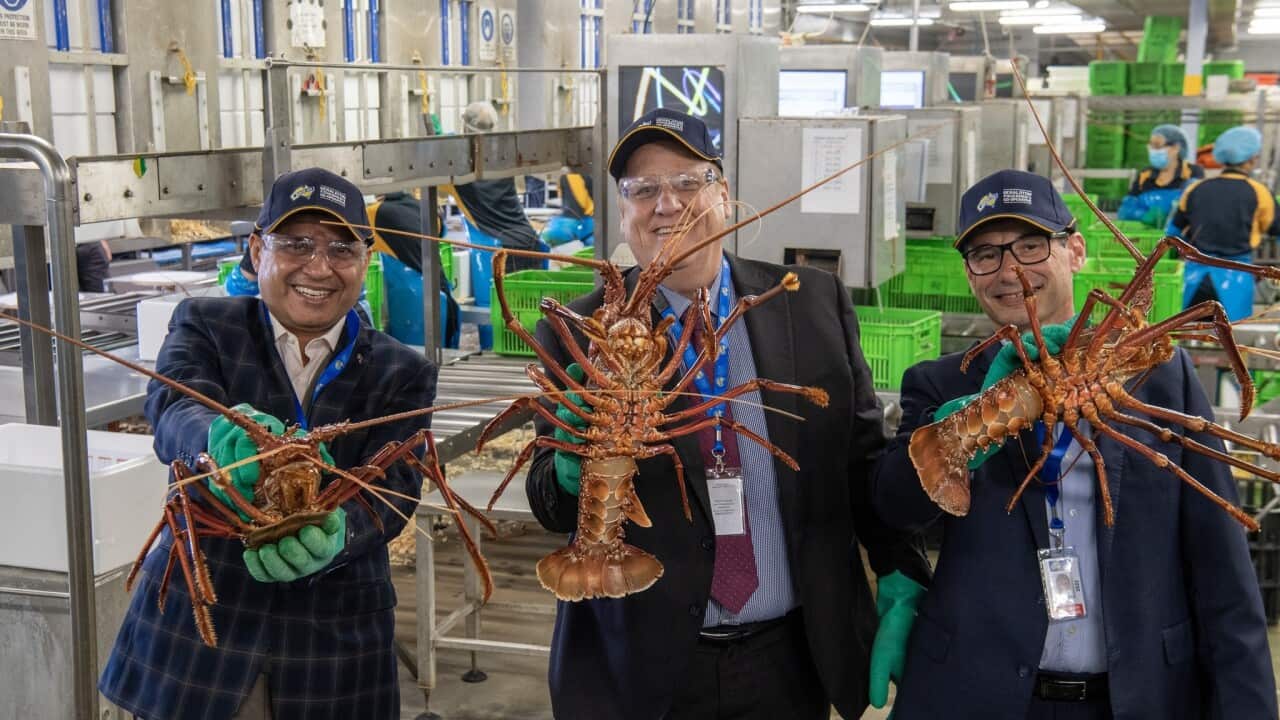 WA Minister for Fisheries Don Punch holds crayfish with two other people.