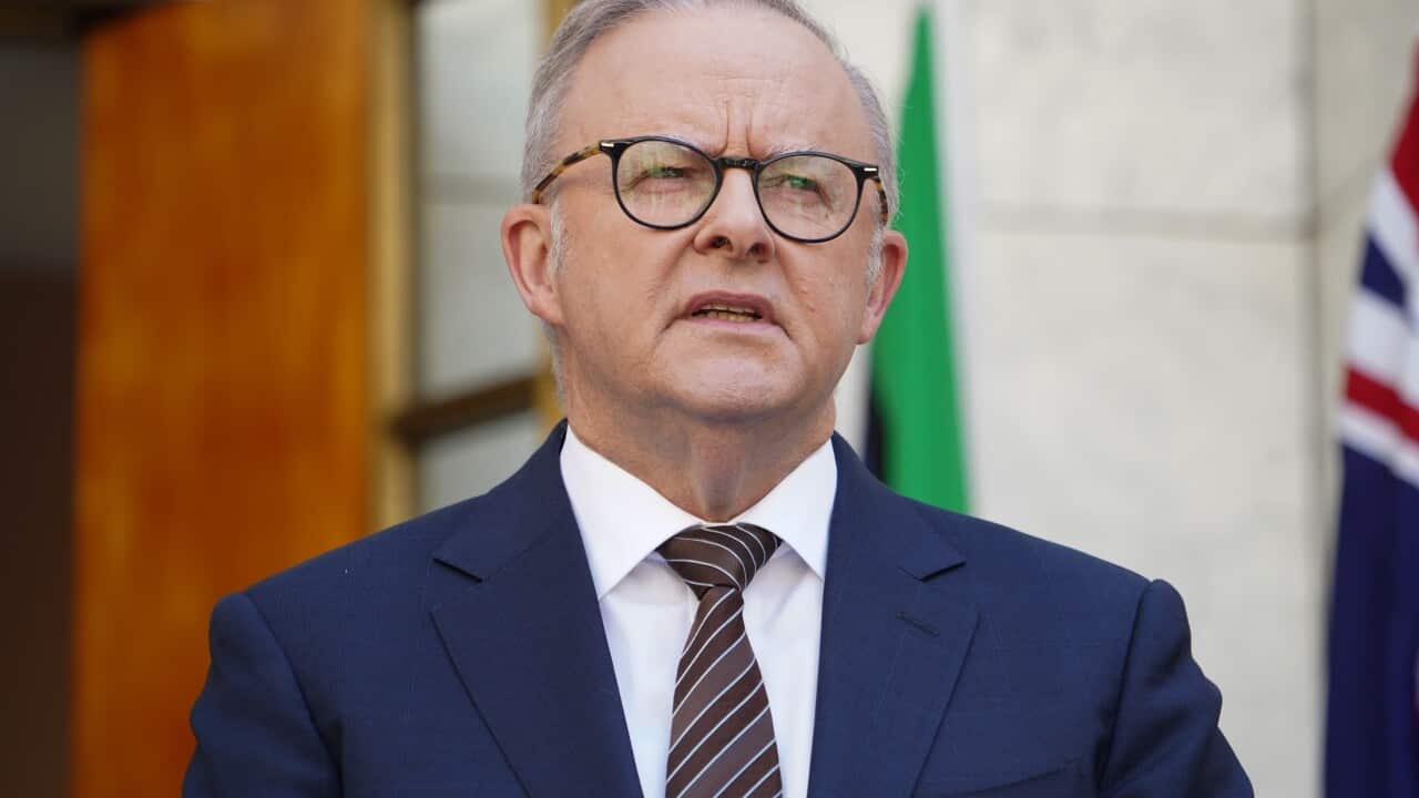 Anthony Albanese, in a blue suit and glasses, is speaking.