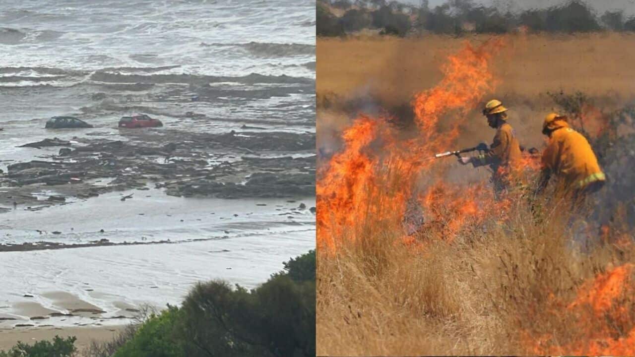 SBS Sinhala AAP image.jpg